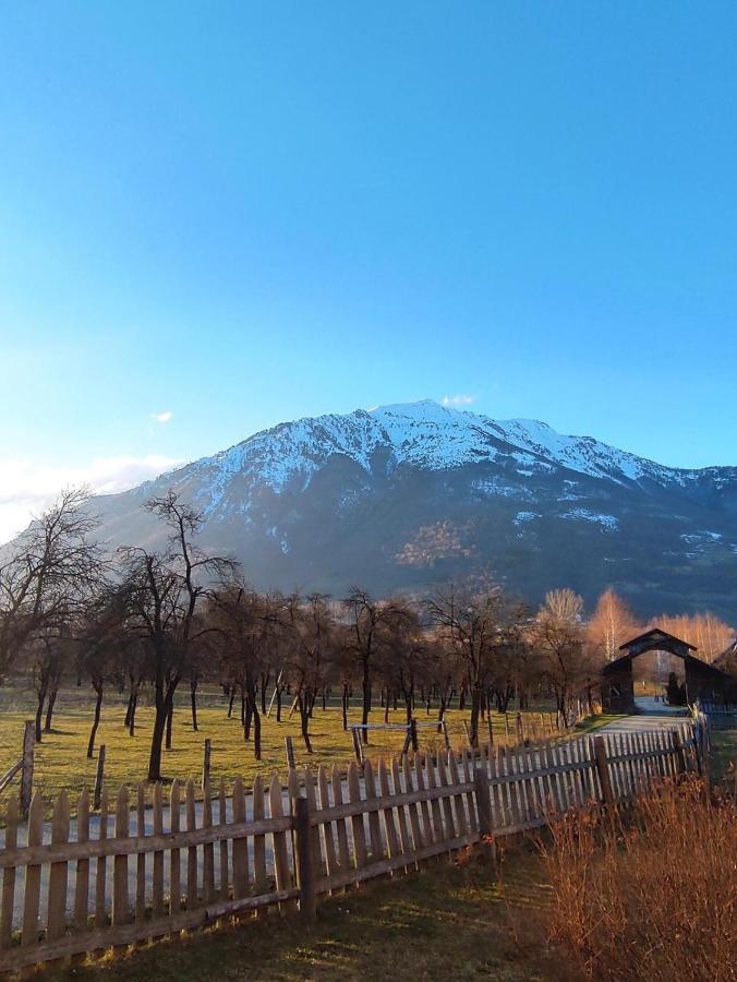 Visitor Yard Bed & Breakfast พลาฟ ภายนอก รูปภาพ