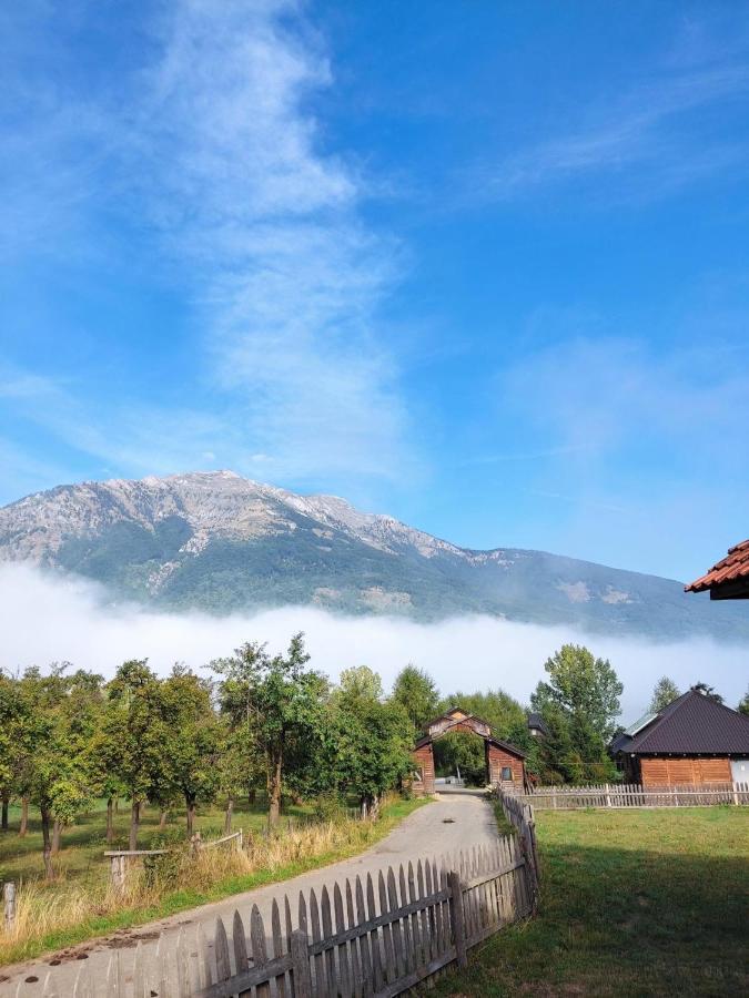 Visitor Yard Bed & Breakfast พลาฟ ภายนอก รูปภาพ