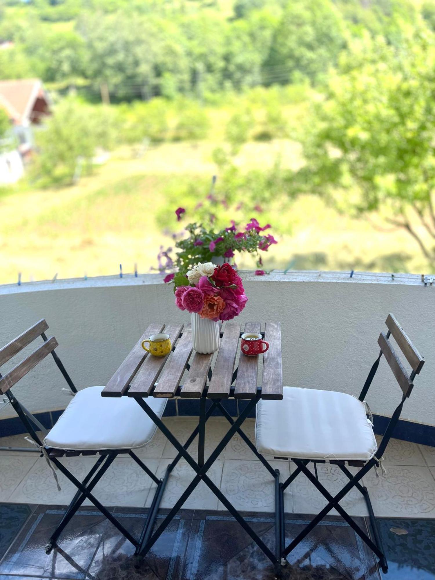 Visitor Yard Bed & Breakfast พลาฟ ภายนอก รูปภาพ